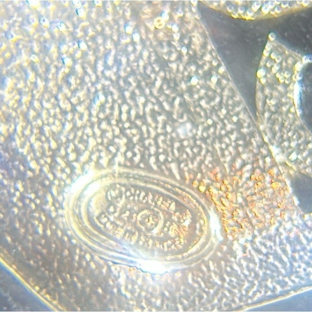 Chanel Crystal CC and Coco Mark Brooch Silver and Pink C23B - Picture 6 of 16